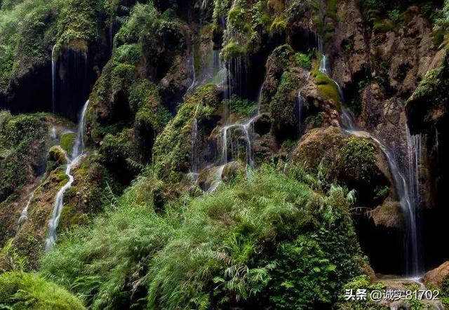 老师的英文怎么说？